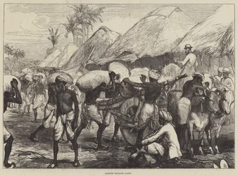 Loading Bullock Carts